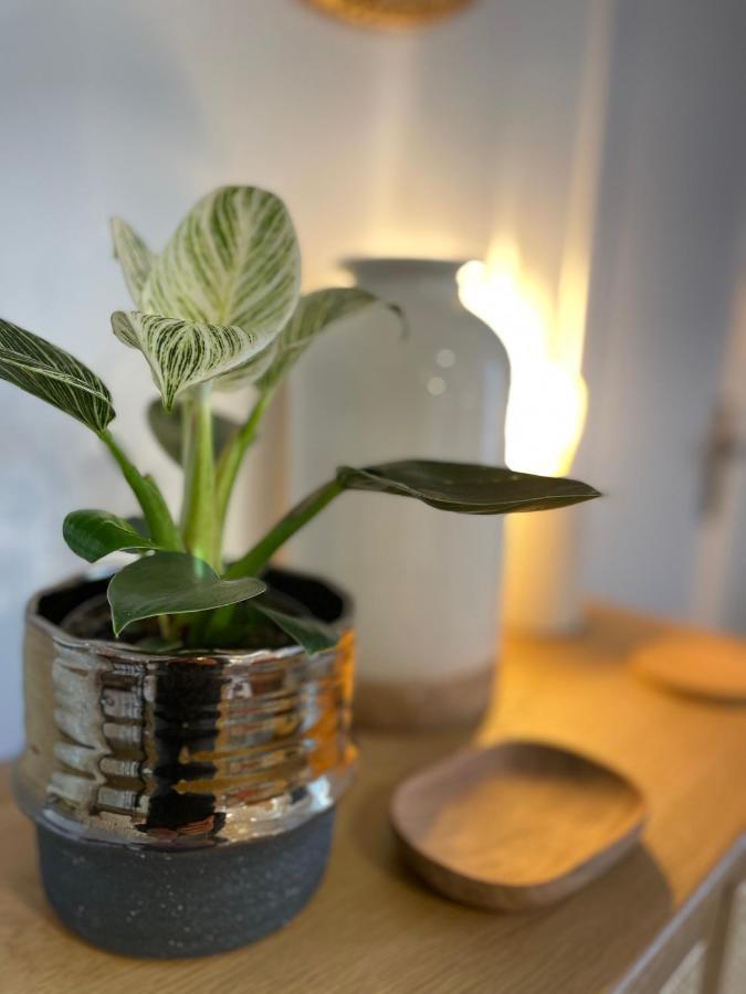 Canopee - Appartement - Hyper Centre Ville カンペール エクステリア 写真